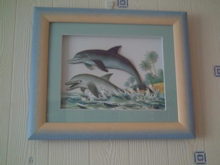 Les dauphins